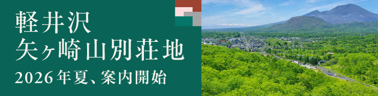 矢ケ崎山地区ページ