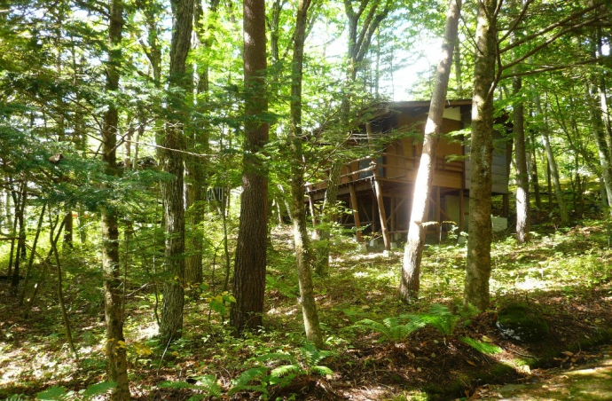 千ヶ滝別荘地　山の手区　松ヶ丘　土地　木漏れ日が差し込む植生の良い古家付土地