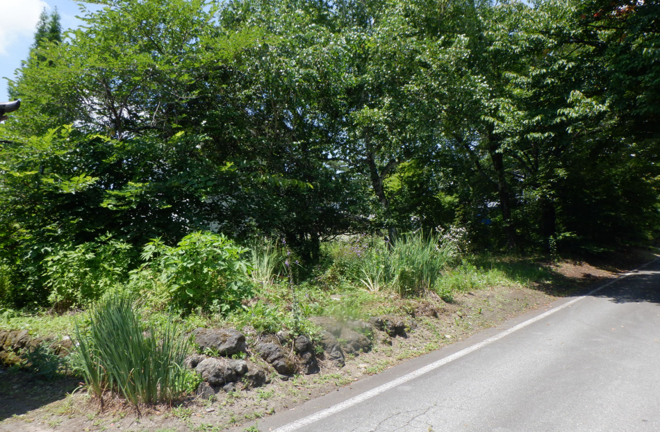 大日向エリア　定住にも別荘にも利用可能で陽当り良好な平坦な敷地　2分割にも分割可能