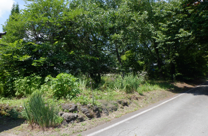大日向エリア　定住にも別荘にも利用可能で陽当り良好な平坦な敷地　2分割にも分割可能