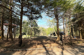 千ヶ滝別荘地　西区　宮の森　管理し易い手頃な広さの土地　東側に向けて緩傾斜のためロケーション良好