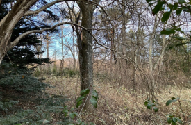 軽井沢 千ヶ滝別荘地 土地 西区 第2‐B