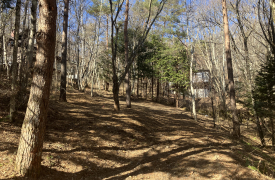 軽井沢　千ヶ滝別荘地　土地　東区　緑ヶ丘　