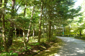 軽井沢　千ヶ滝別荘地　土地　古家付　山の手区　