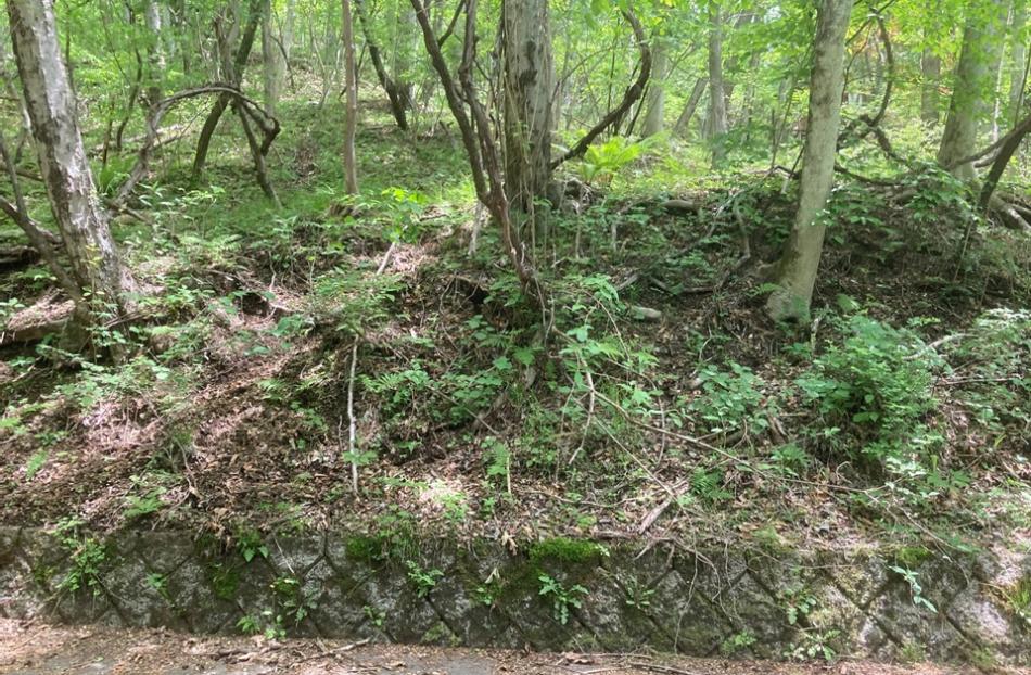 敷地の北側が国有林に接し南西道路付の陽当たり良好な南側に傾斜した土地