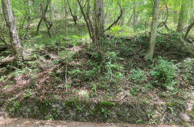 敷地の北側が国有林に接し南西道路付の陽当たり良好な南側に傾斜した土地