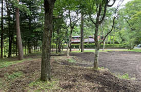 軽井沢　千ヶ滝別荘地　土地　西区　第2‐B　平坦地