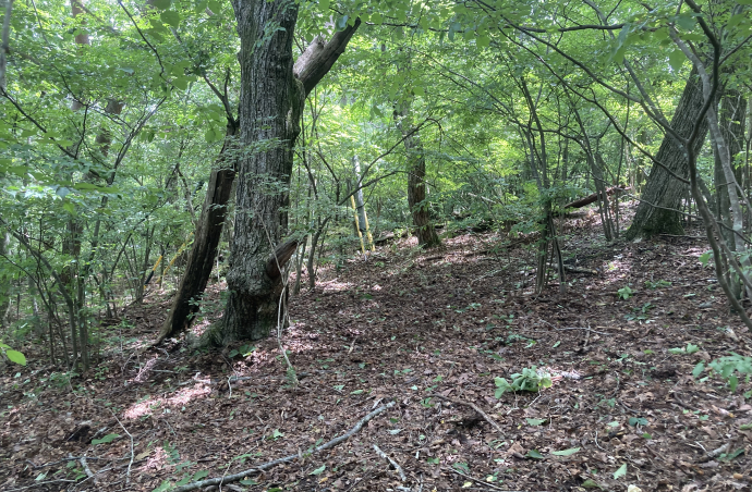 国道からのアプローチ良好な 南に傾斜したコンパクトな敷地