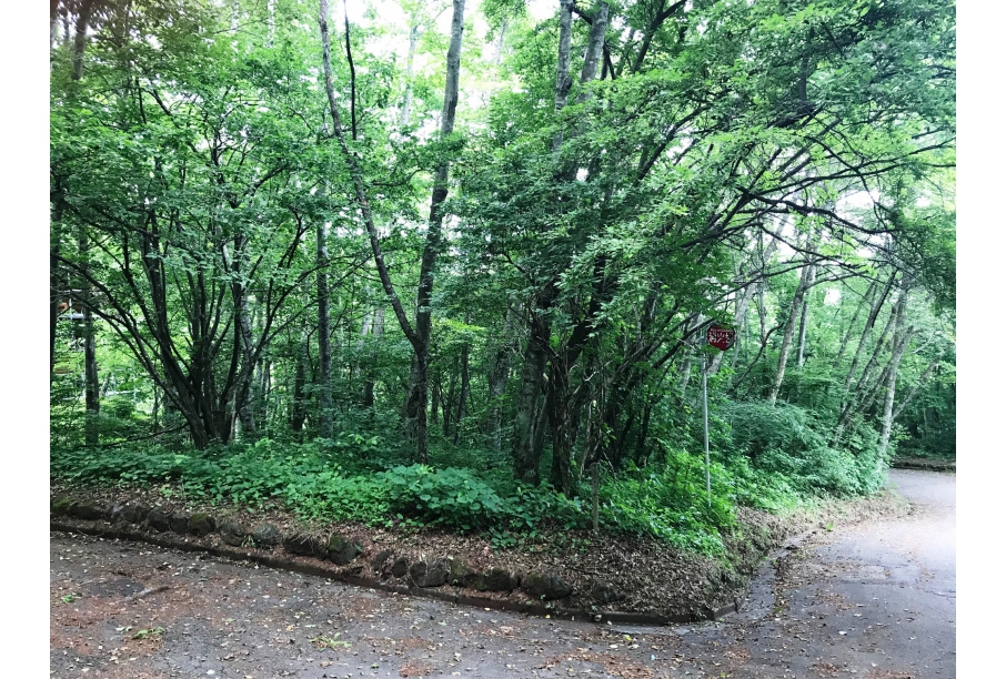 西側前面道路