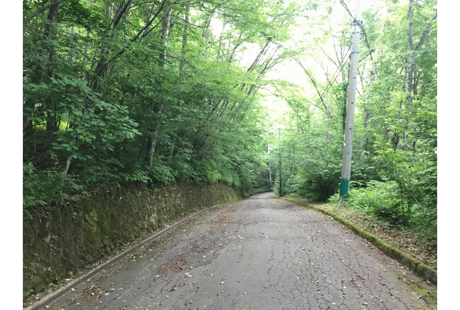 東側前面道路