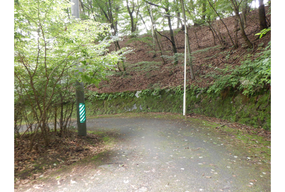 前面道路を含む現地写真