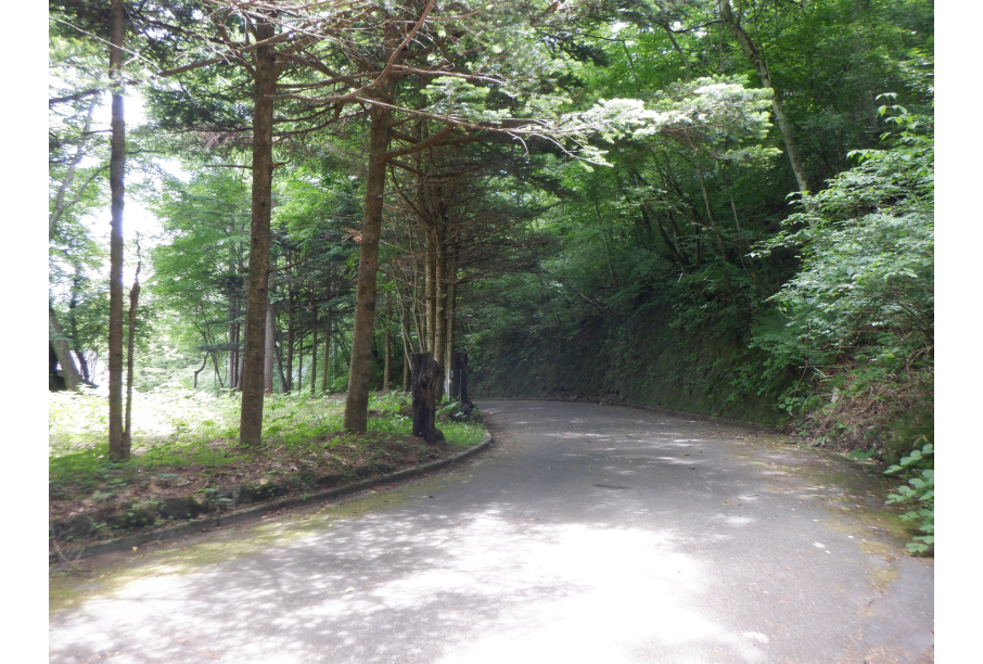 前面道路