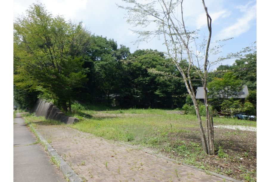 国道側から見た敷地内