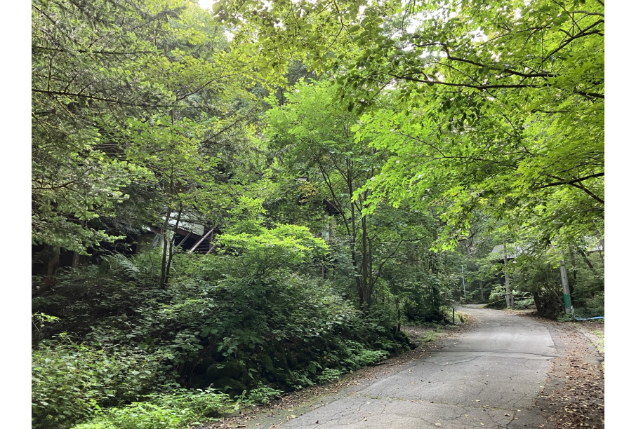 前面道路