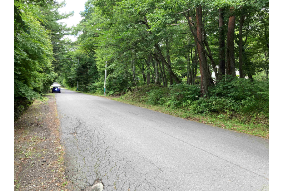 前面道路を含む現地写真