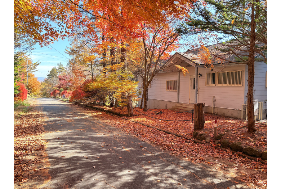 前面道路の写真