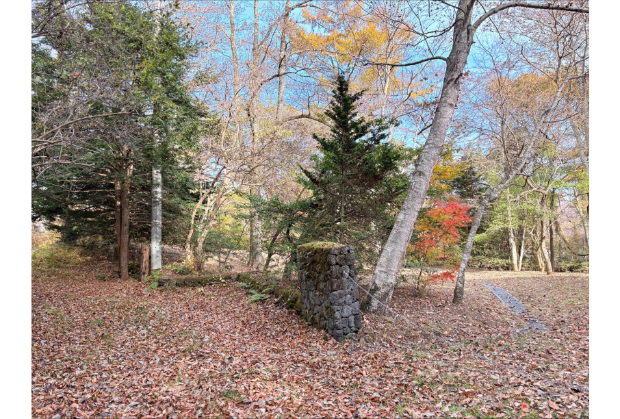 前面道路からの写真