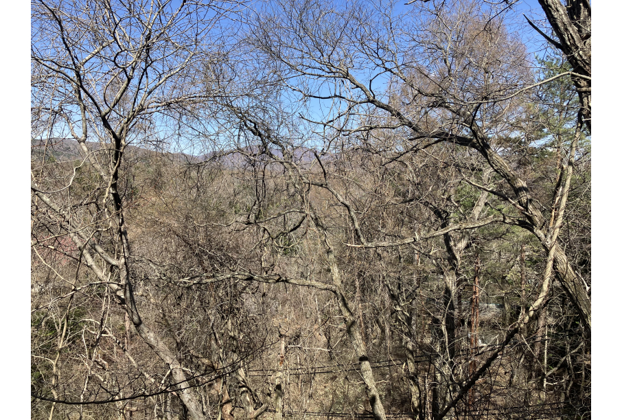 バルコニーからの眺望