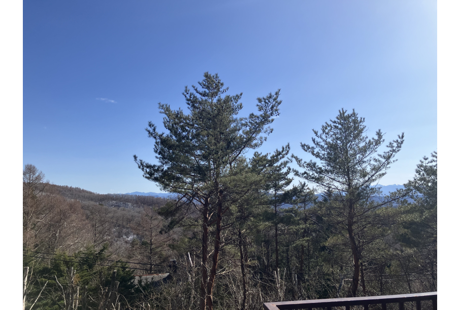 デッキからの眺望