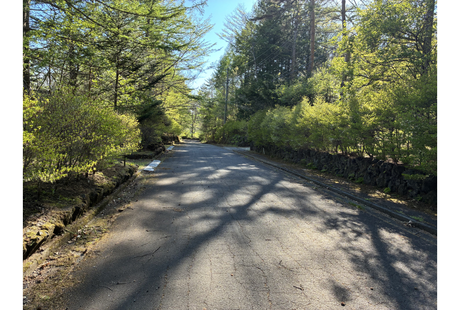 前面道路