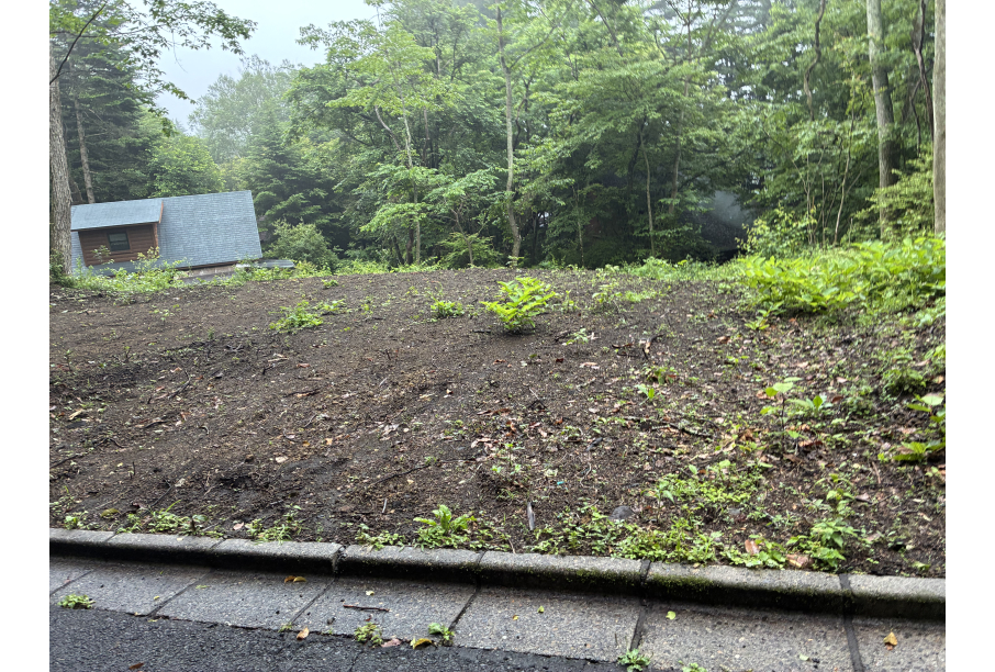 前面道路から見た敷地内の様子