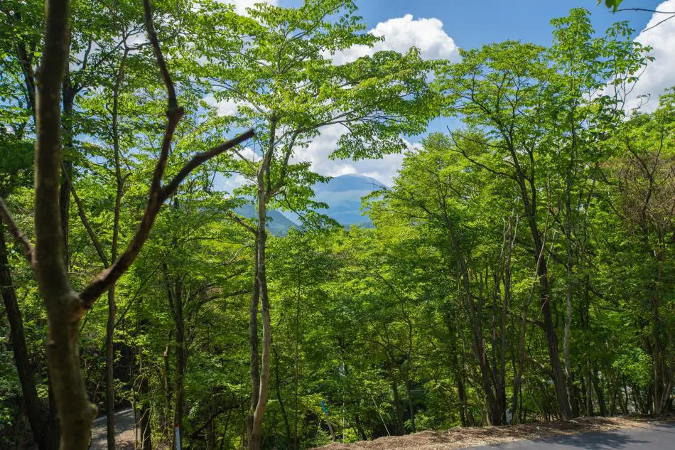 現況写真1