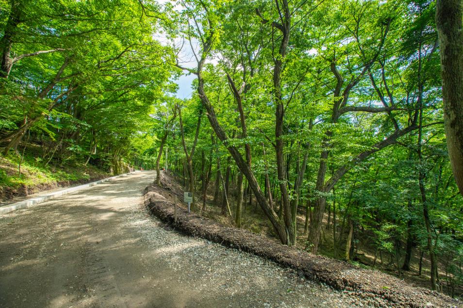 現況写真4
