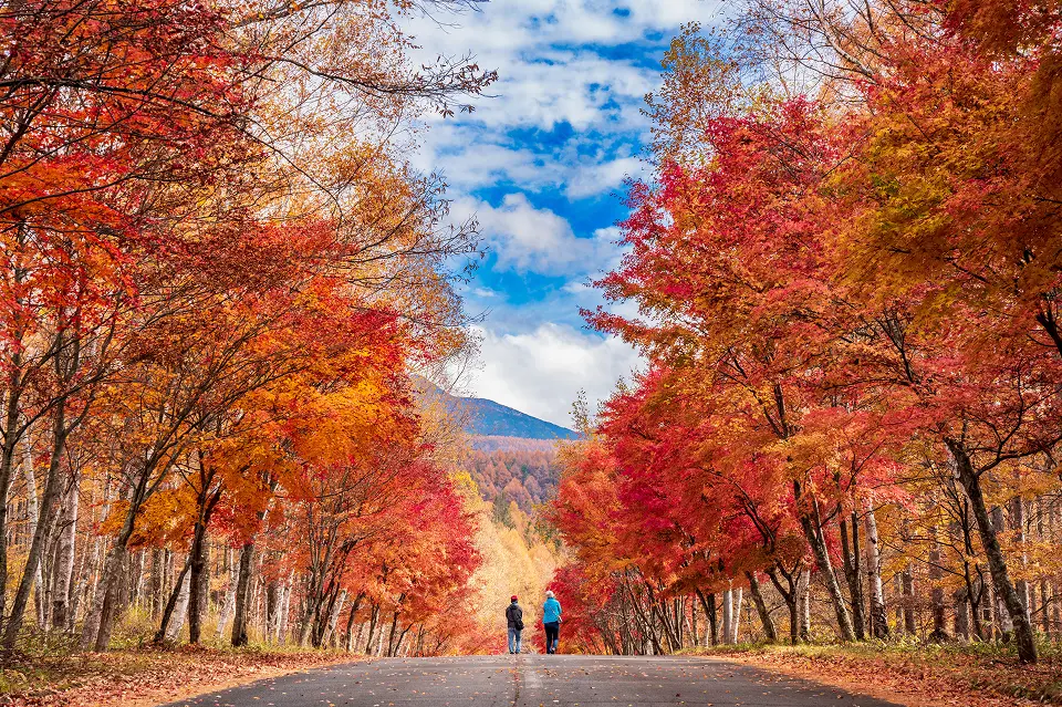 軽井沢紅葉