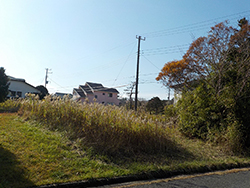 現地写真