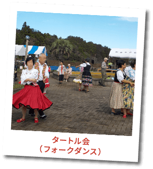タートル会