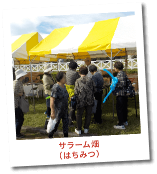 サラーム畑