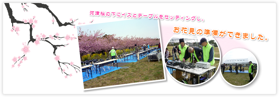河津桜の下にイスとテーブルをセッティングし、お花見の準備ができました。