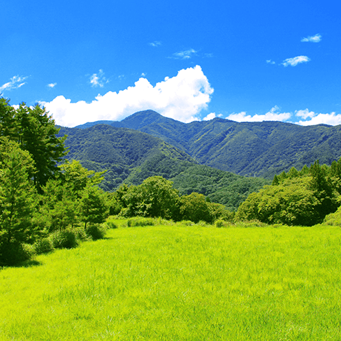 南房総 御宿の里山