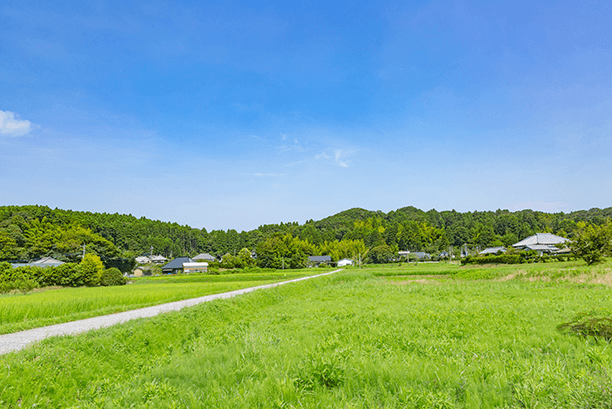サイクリング 布施村街道