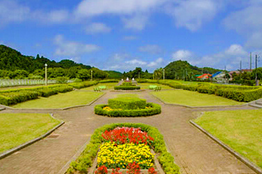中央公園