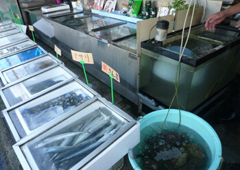 新鮮な地元の海の幸の数々